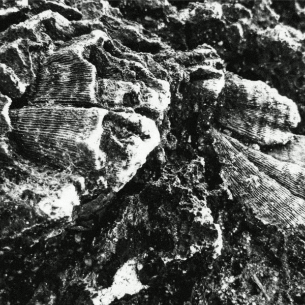 Formaciones rocosas